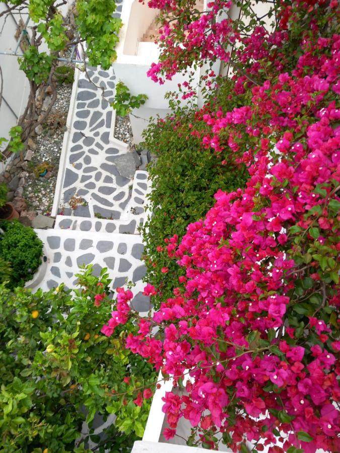 Studio In Garden Πόρος Εξωτερικό φωτογραφία