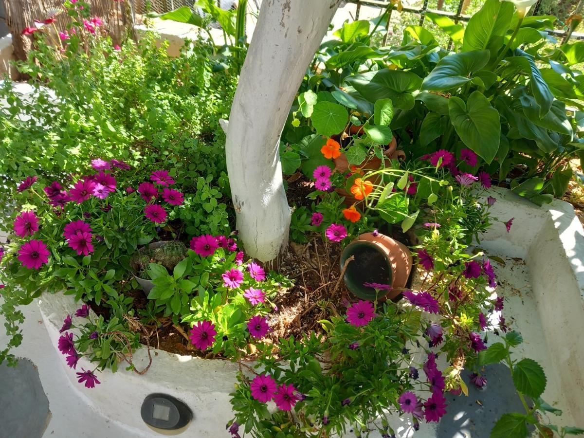 Studio In Garden Πόρος Εξωτερικό φωτογραφία